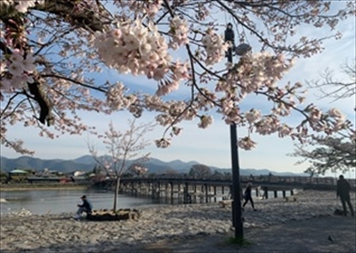 嵐山・渡月橋