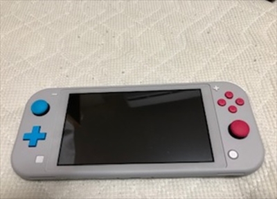 Switch Lite