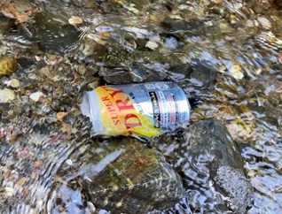 ビール冷やし