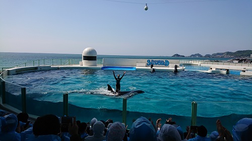 シャチショー