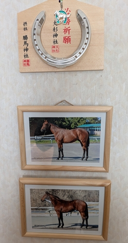 馬写真