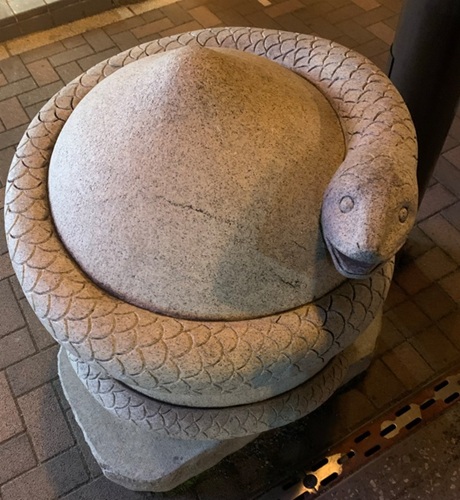 巳